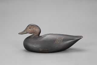 Exceptional Black Duck Decoy, Joseph W. Lincoln (1859-1938)