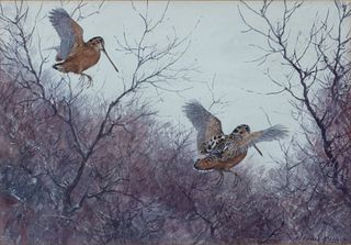 Aiden Lassell Ripley (1896-1969) Two Woodcock