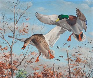 Maynard F. Reece (1920-2020) Mallards Ducks, Banking for Landing