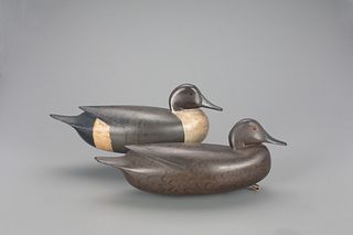 Exceptional Snuggle-Head Pintail Pair, William H. Quinn (1915-1969)