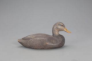 Black Duck Decoy, Dr. Miles D. Pirnie (1898-1976)
