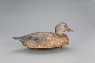 Rare Oversized Black Duck Decoy, Benjamin Schmidt (1884-1968)