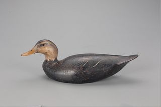 Classic 1936 Black Duck Decoy, The Ward Brothers