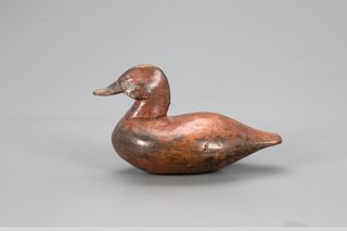 Ruddy Duck Drake Decoy, W. Baily Barco (1870-1947)