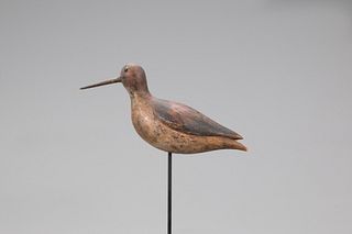 Dowitcher with Turned Tail, Thomas Hewlett