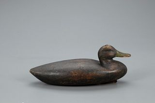 Early Tucked-Head Black Duck Decoy, Albert Davids Laing (1811-1886)
