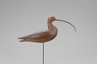 Long-Billed Curlew, Mark S. McNair (b. 1950)