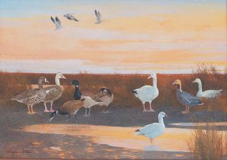 Douglas Allen (b. 1935) Group of Geese