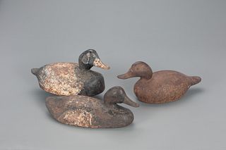 Three Iron Wing Ducks 