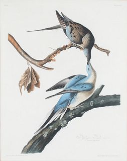 John James Audubon (1785-1851) 