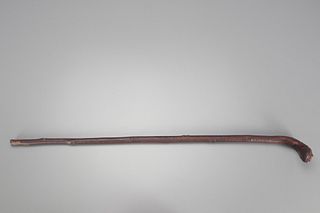 Cane With a Frog Handle 