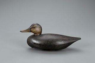 Black Duck Decoy, A. Elmer Crowell (1862-1952)