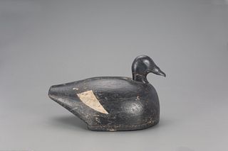 Early Oversize White-Winged Scoter Decoy, Joseph W. Lincoln (1859-1938)