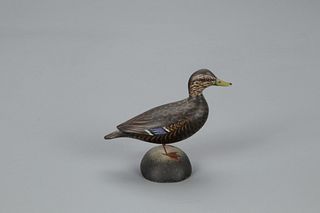 Miniature Black Duck, A. Elmer Crowell (1862-1952)