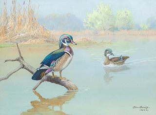 Allan Brooks (1869-1945) Wood Ducks