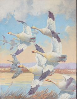 Reginald Bolles (1877-1967) Snow Geese