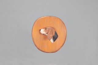 Profile of a Beagle, James A. King (1905-1959)