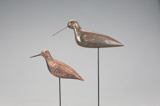 Two Shorebirds 
