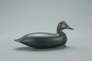 Black Duck Decoy, Harry M. Shourds (1890-1943)
