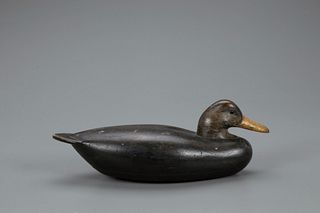 Black Duck Decoy, Benjamin Holmes (1843-1912)
