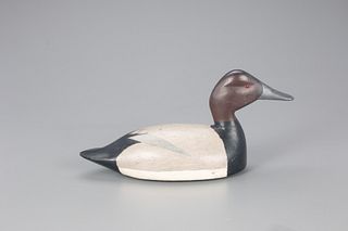 Canvasback Decoy, Frank Coombs (1882-1958)