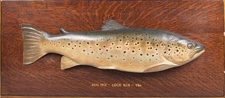 Brown Trout Model Peter Duncan Malloch (1853-1921)