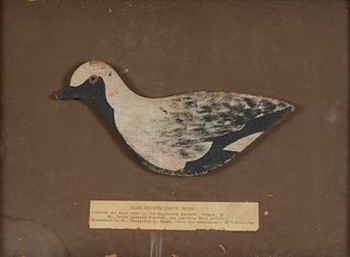 Silhouette Black-Bellied Plover, Louis Agassiz Fuertes (1874-1927)