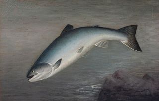 American School (19th-20th century) Leaping Salmon