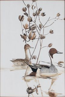 Thomas Quinn (b. 1938) Shire Waters- Pintail Pair