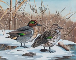 Paul Connor (20th century) Green-Winged Teal