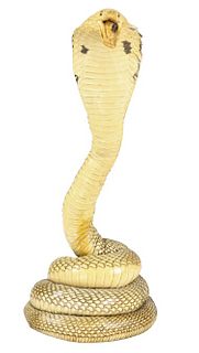 Taxidermy Cobra