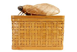 Woven Wood Locust Box