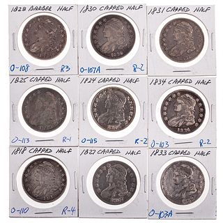 A Group of Nine Capped Bust Halves