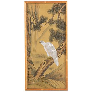 Japanese Painted Silk Scroll of Hawk
