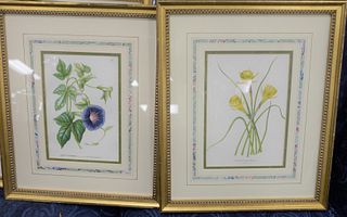 Group of Ten Framed Botanical Prints
each inscribed in plate along the lower edge
most likely late 19th/early 20th Century
9" x 6" (sight)