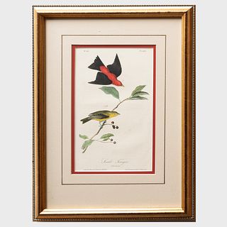 After John James Audubon (1785-1851):  Scarlet Tanager