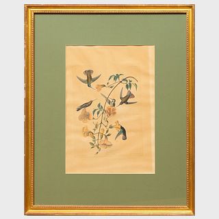 After John James Audubon (1785-1851):  Mangrove Humming Bird; and Ruff necked Hummingbird