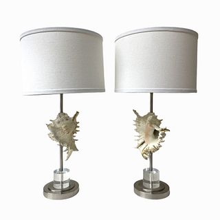 Pair of Coastal Contemporary Seashell Lamps