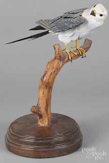 Carved and painted Peregrine Falcon, signed Bob Gittens and dated 1979, 16 1/2'' h.