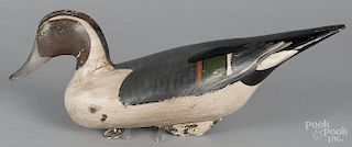 Carved and painted pintail duck decoy, mid 20th c., 18'' l.
