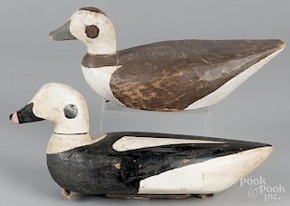 Pair of Maine carved and painted golden-eye duck decoys, 20th c., 14 1/2'' l.