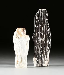 A GROUP OF TWO PREHISTORIC PETRIFIED WOOD FOSSIL SPECIMENS, APPROXIMATELY 200 MILLION YEARS OLD,