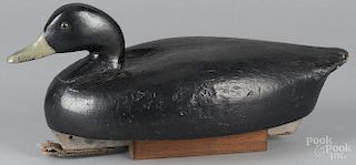 Carved and painted black duck decoy, mid 20th c., with a balsa body, 15 3/4'' l.