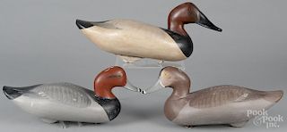 Three carved and painted Chesapeake Bay canvasback duck decoys, mid/late 20th c.