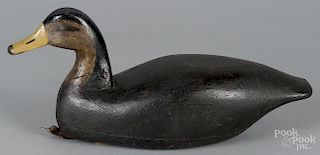 Attributed to Lester Van Brunt, New Jersey carved and painted black duck decoy, early 20th c.
