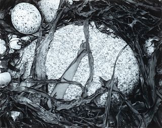 Nicholas Dean, Am. b. 1933, 1] Seaweed and Rock, 1961 2] Ice Floe, 1964, 1] Gelatin silver print, mounted 2] Gelatin silver print, mounted