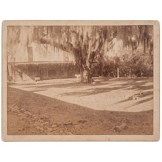 [SLAVERY & ABOLITION]. A group of 9 photographs of the Ormond and Destrehan Plantations. N.p.: St. Charles Parish, LA, 1891. 