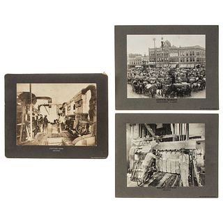 [PHOTOGRAPHS - OCCUPATIONAL] -- [COTTON]. Group of oversize photographs of cotton processing, comprising:  