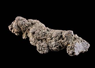 Prehistoric Fossilized Coprolite (from Turtle)