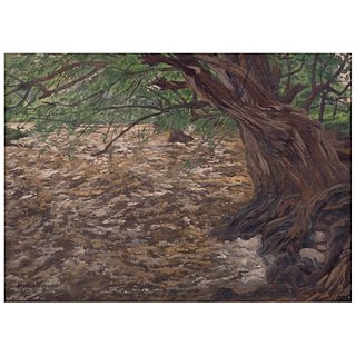 NICOLÁS MORENO, Paisaje de la Sierra Tarahumara, Signed and dated 1975, Oil on wood, 12 x 16.7" (30.5 x 42.5 cm)